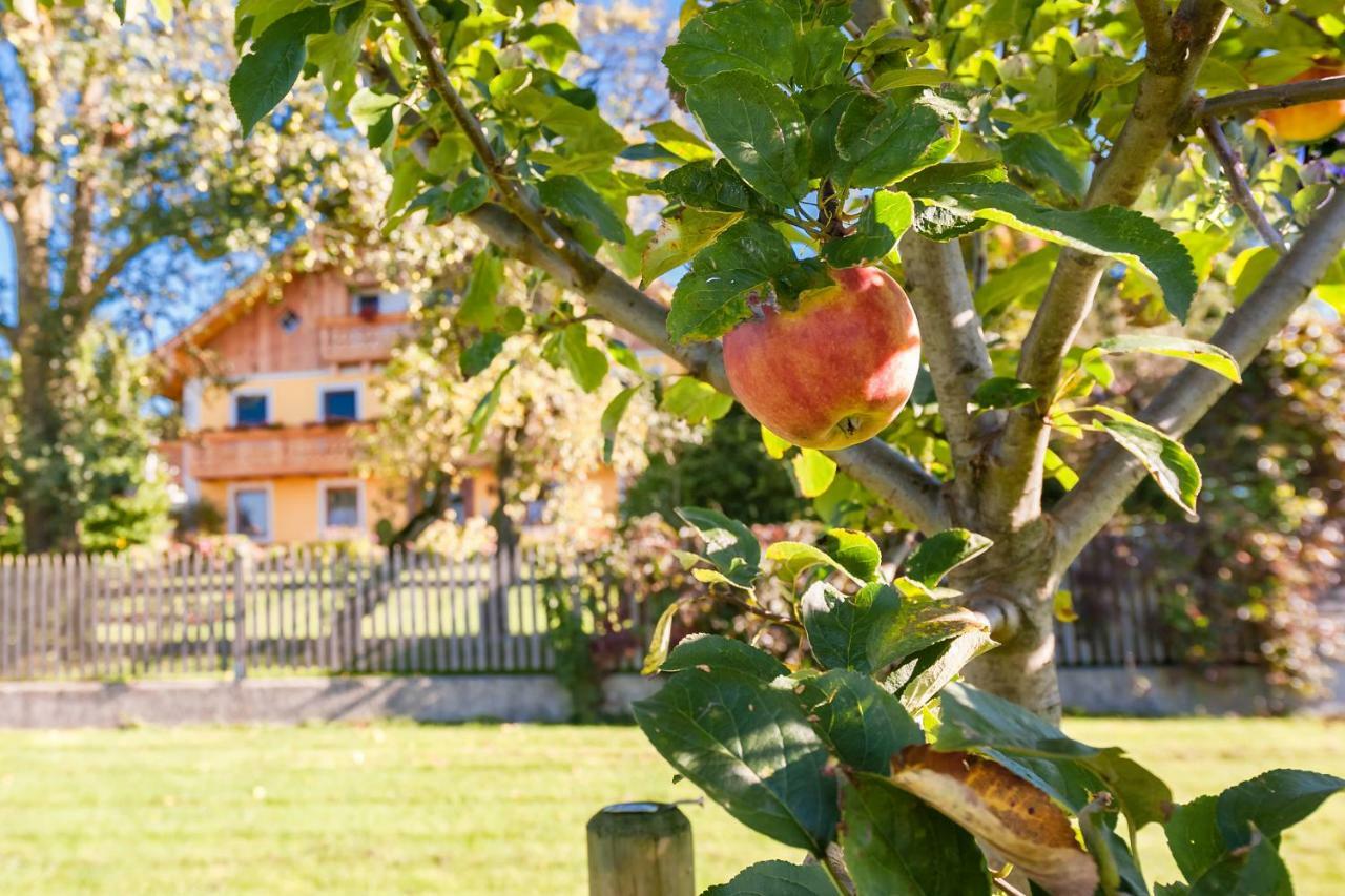 Girlinggut Schlafen Starten Salzburg Elixhausen Exteriér fotografie